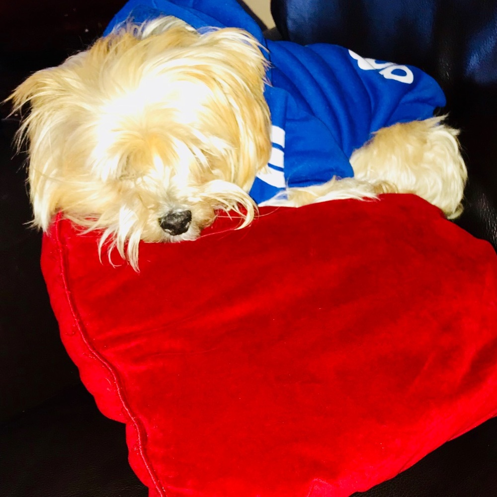 Meet your Posher, Shana